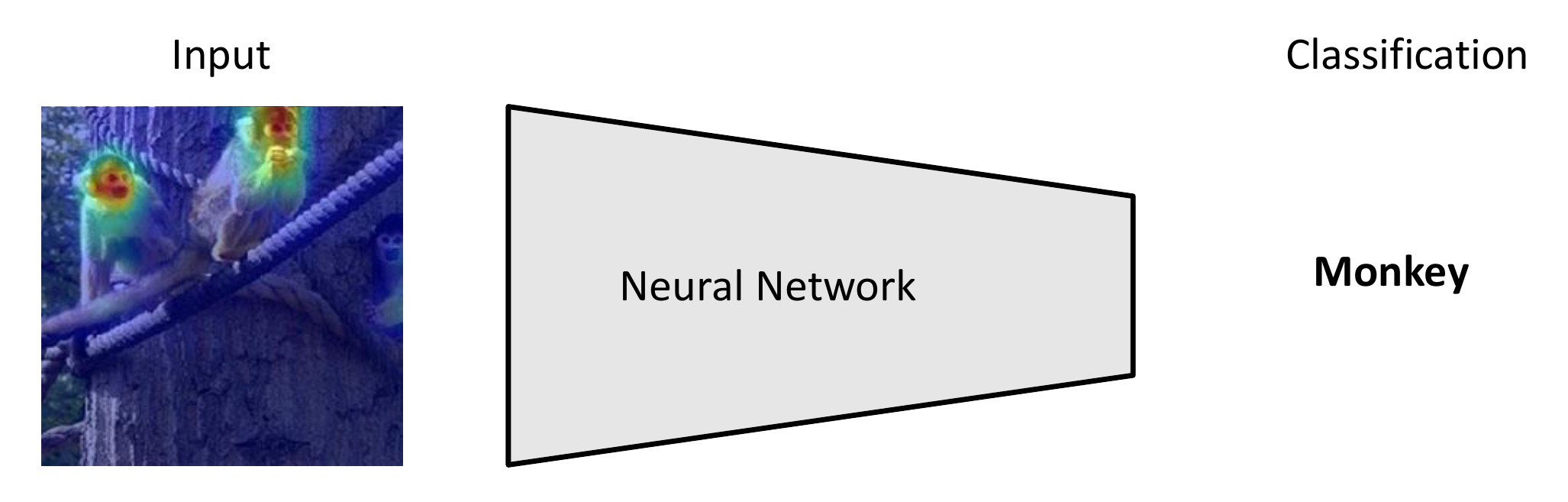 Figure 1: Attribution map obtained for classification network.